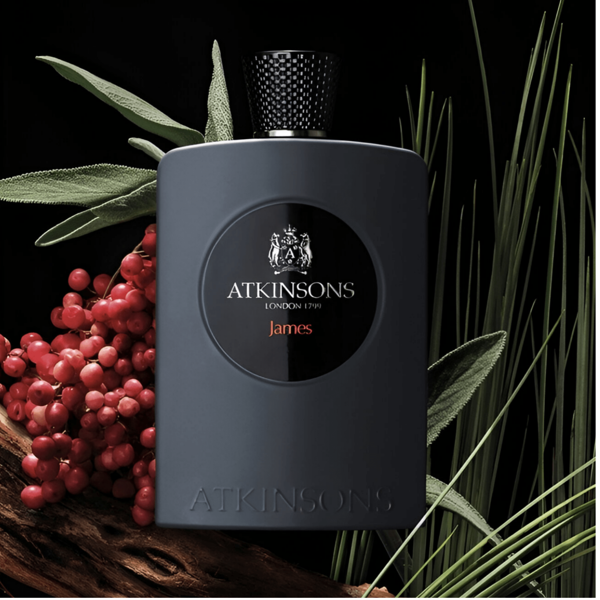 Atkinsons James EDP | My Perfume Shop Australia