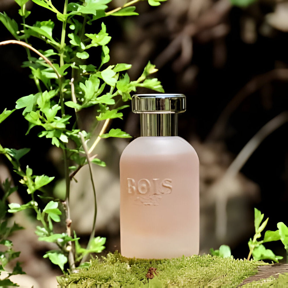 Shop Bois 1920 Come L'Amore EDP | My Perfume Shop Australia