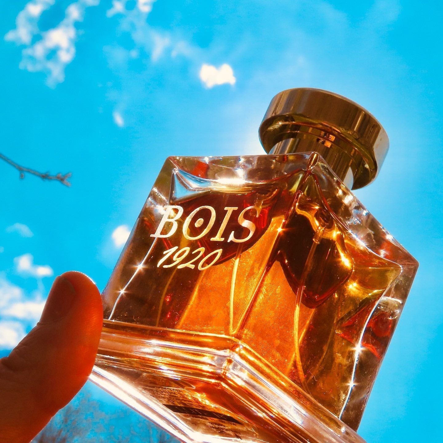 Bois 1920 Elite Iv Parfum | My Perfume Shop Australia