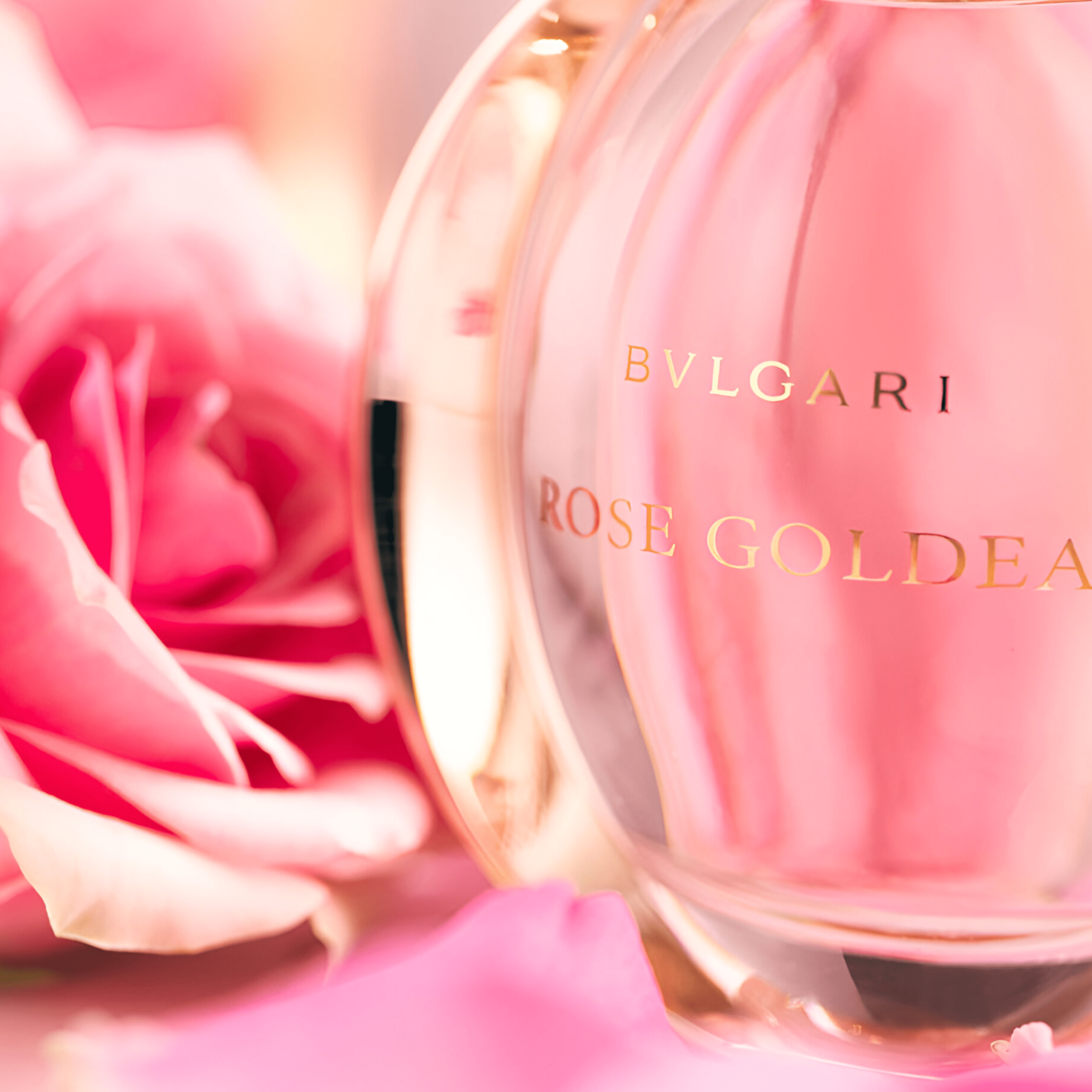 Bvlgari Rose Goldea EDP | My Perfume Shop Australia