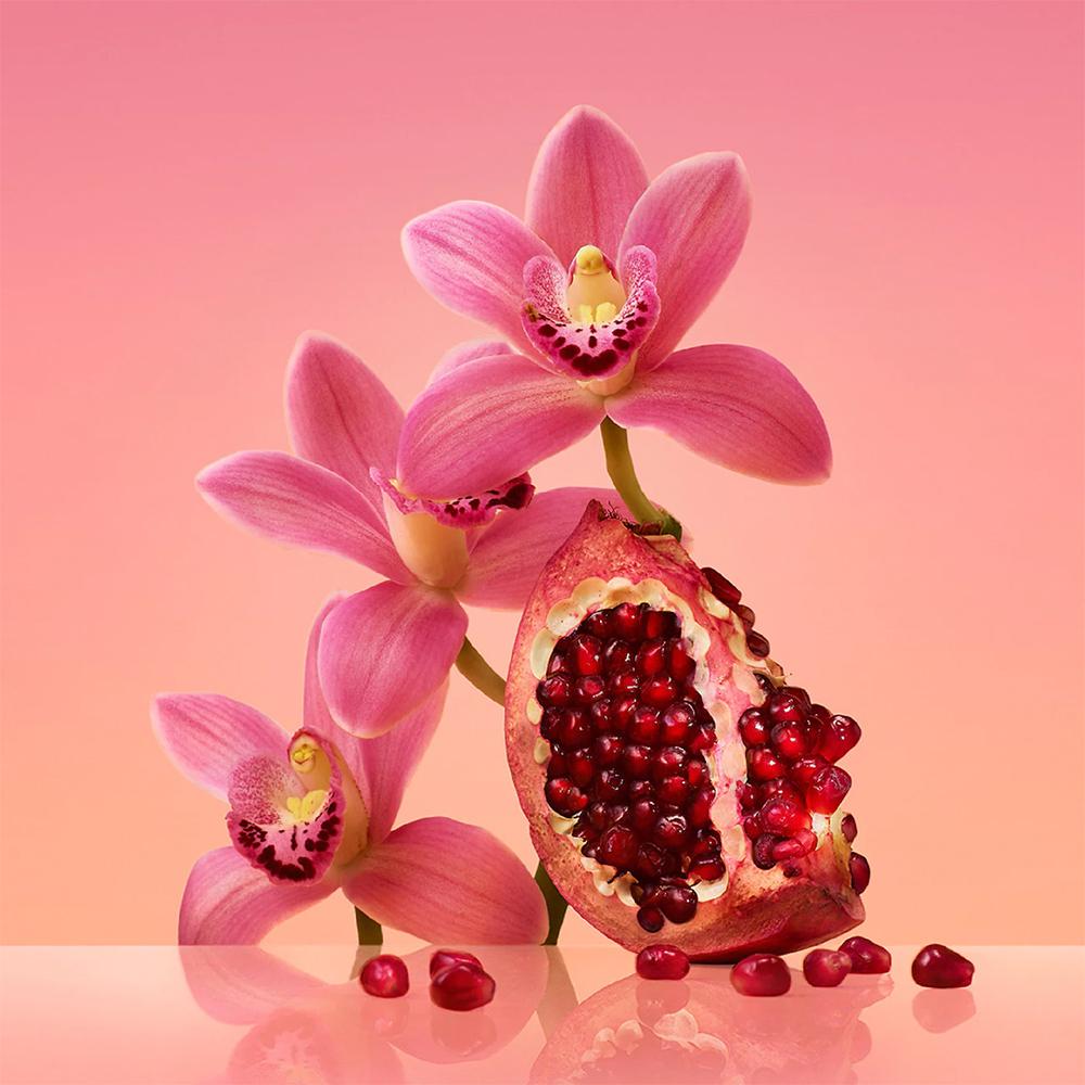 Calvin Klein Euphoria EDP Body Lotion Set | My Perfume Shop Australia