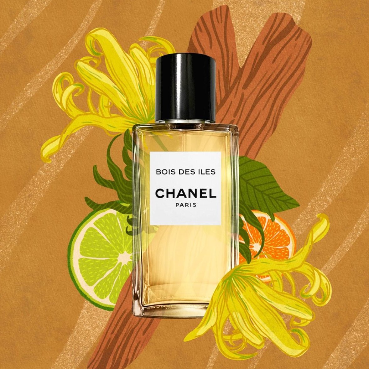 Chanel Bois Des Iles EDP | My Perfume Shop Australia