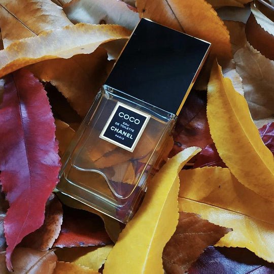 Chanel Coco EDT | My Perfume Shop Australia