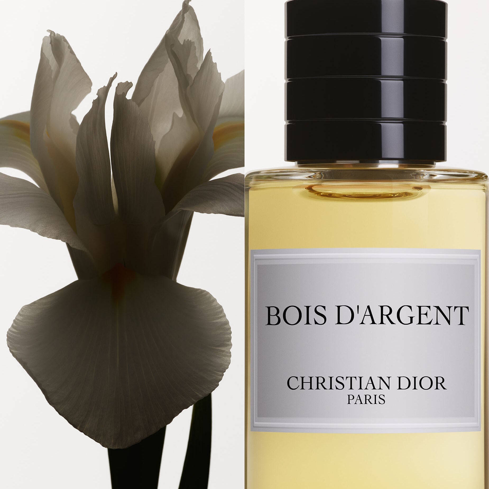 Christian Dior Bois D'Argent EDP | My Perfume Shop Australia
