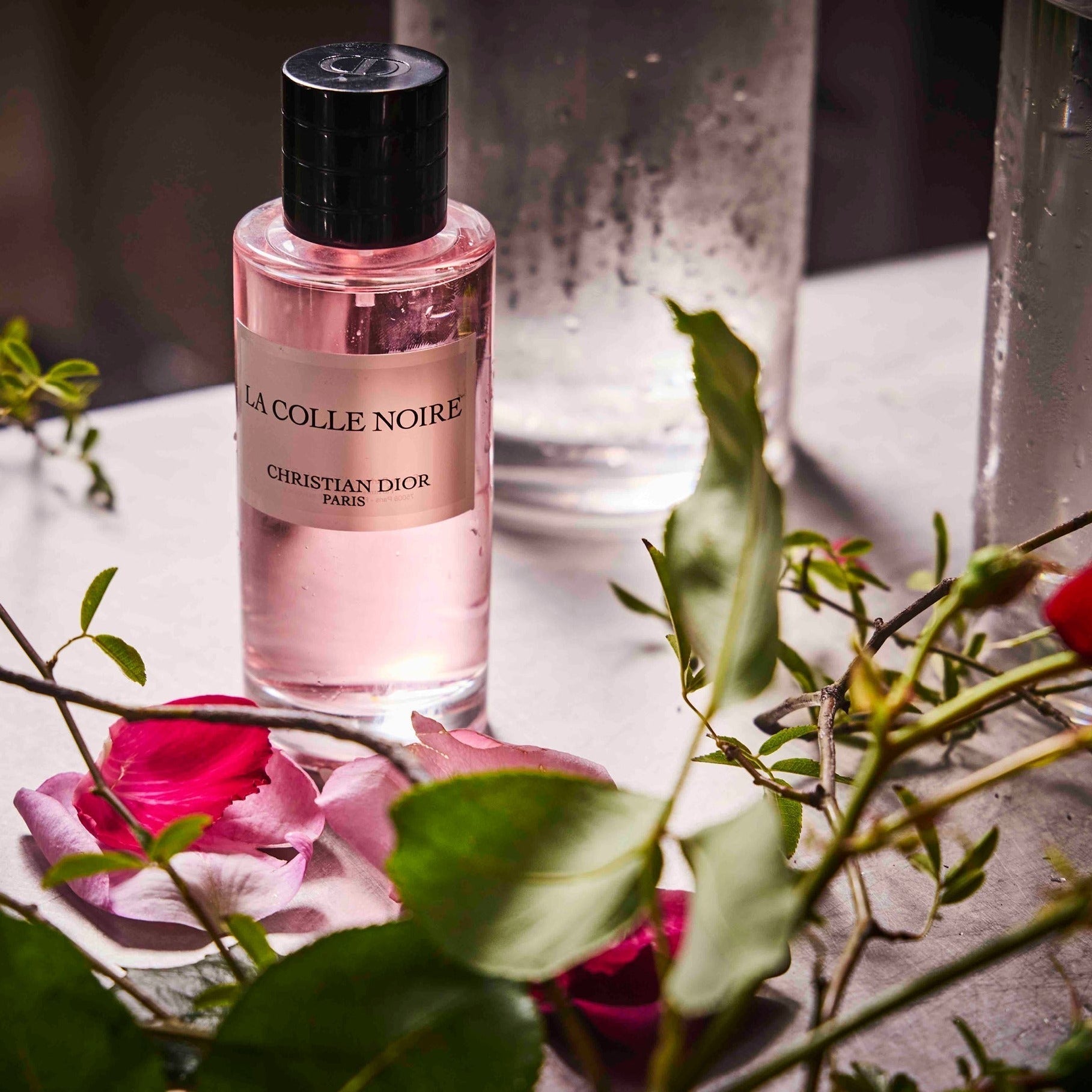 Christian Dior La Colle Noire EDP | My Perfume Shop Australia