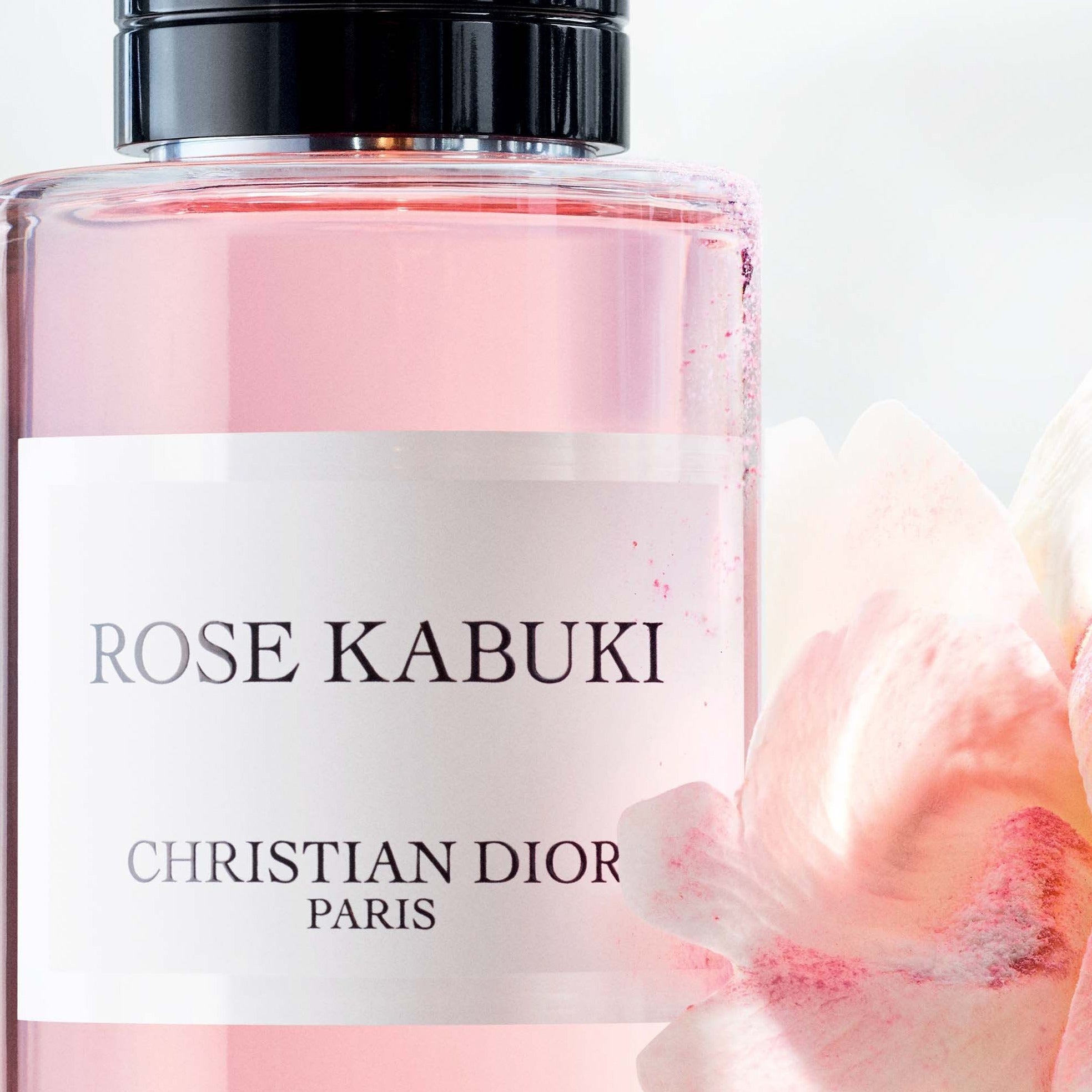 Christian Dior Rose Kabuki EDP | My Perfume Shop Australia
