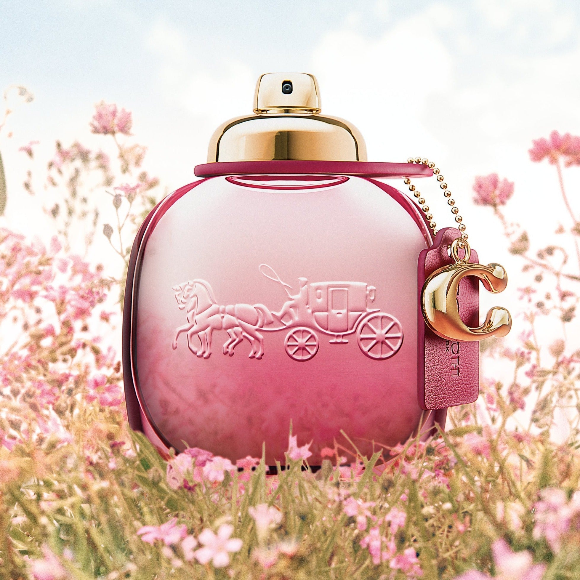 Coach Wild Rose EDP | My Perfume Shop Australia