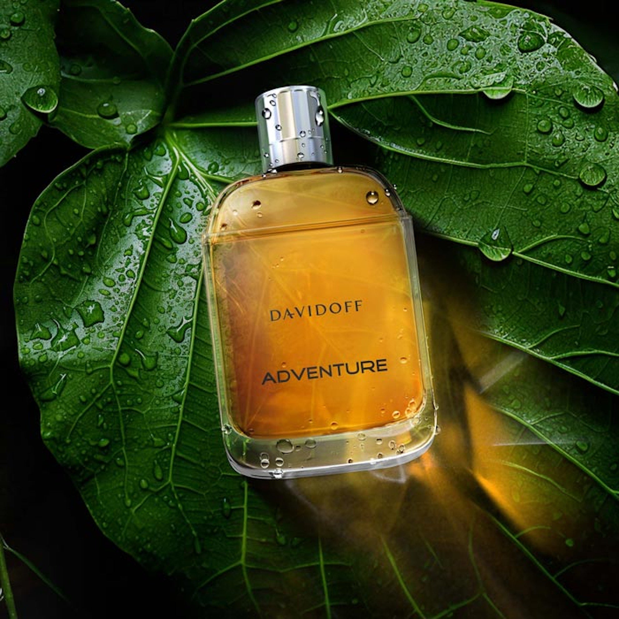 Davidoff Adventure EDT For Men | My Perfume Shop Australia