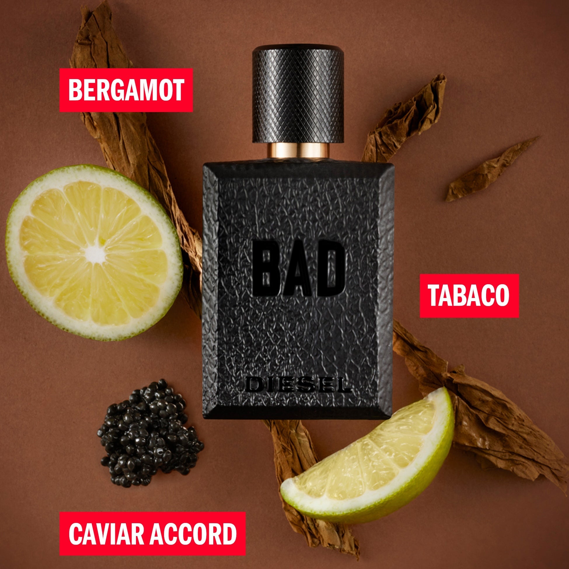 Diesel Bad EDT For Men | My Perfume Shop Australia