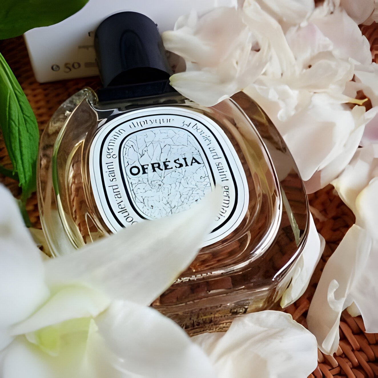 Diptyque Ofresia EDT | My Perfume Shop Australia