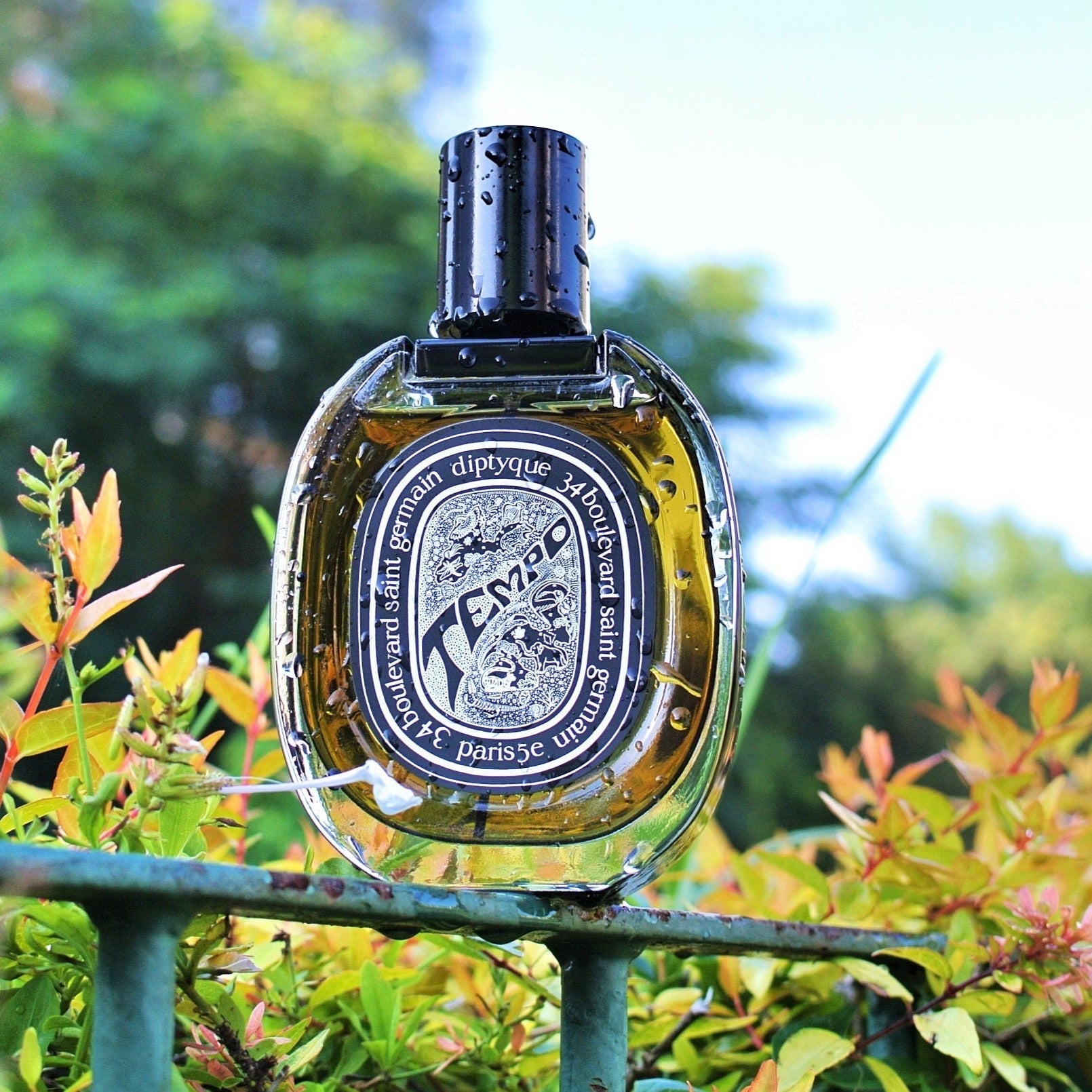 Diptyque Tempo EDP | My Perfume Shop Australia