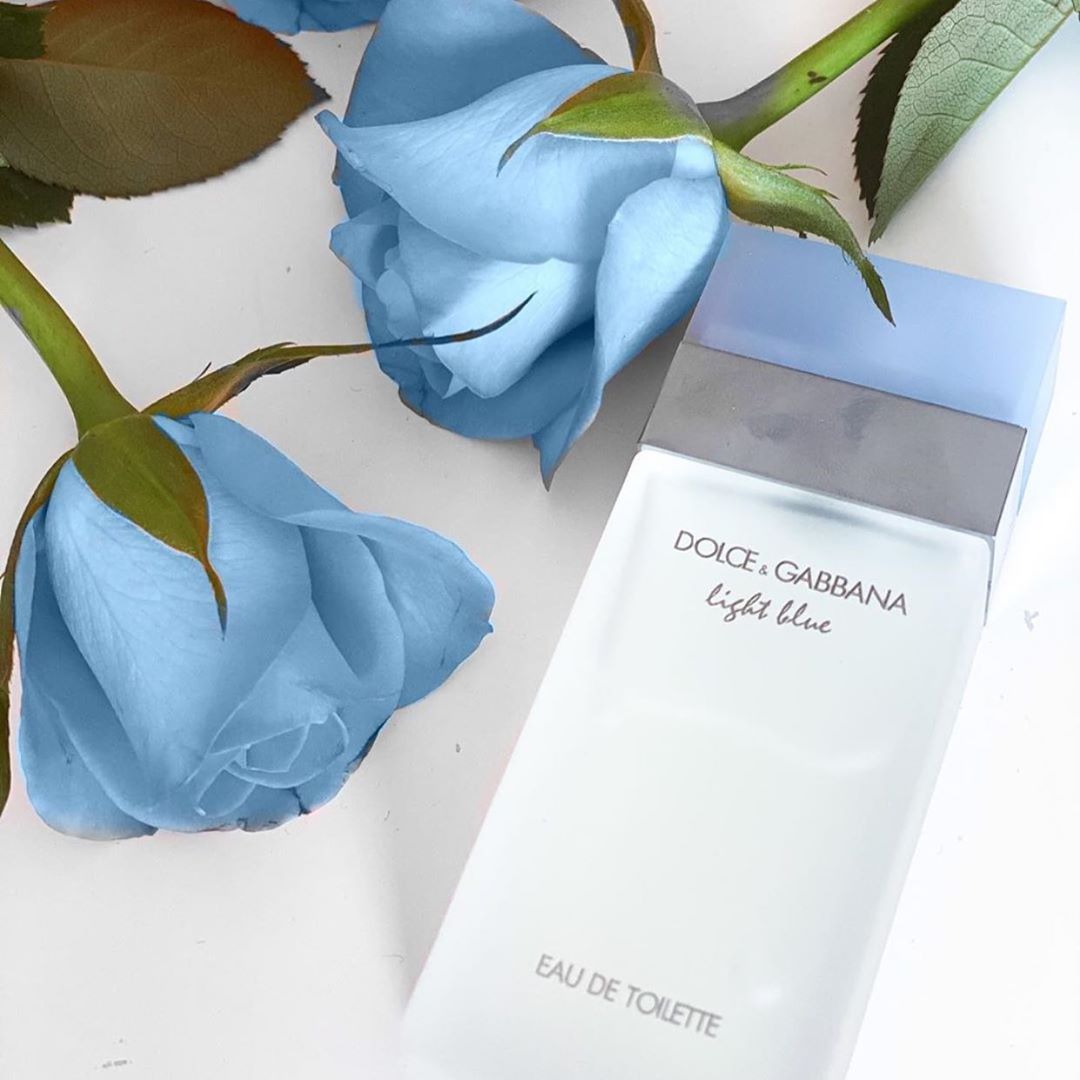 Dolce & Gabbana Light Blue EDT For Her - My Perfume Shop Australia
