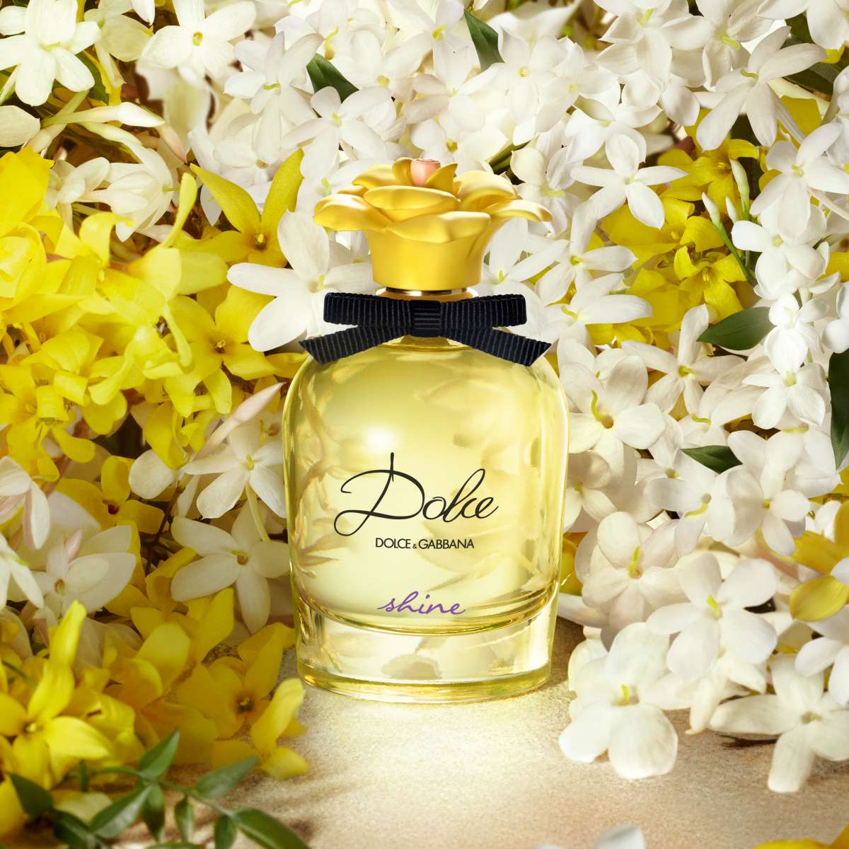 Dolce & Gabbana Dolce Shine EDP | My Perfume Shop Australia