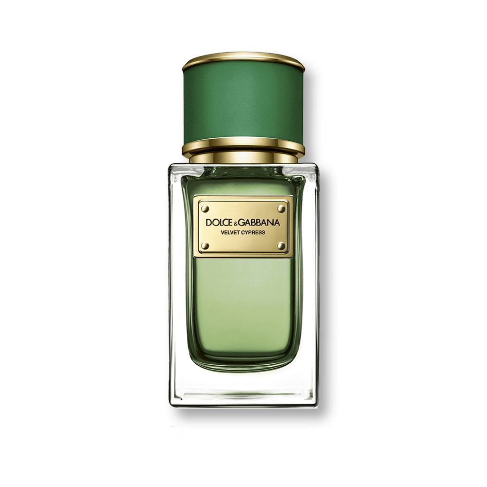 Dolce & Gabbana Velvet Cypress EDP | My Perfume Shop Australia