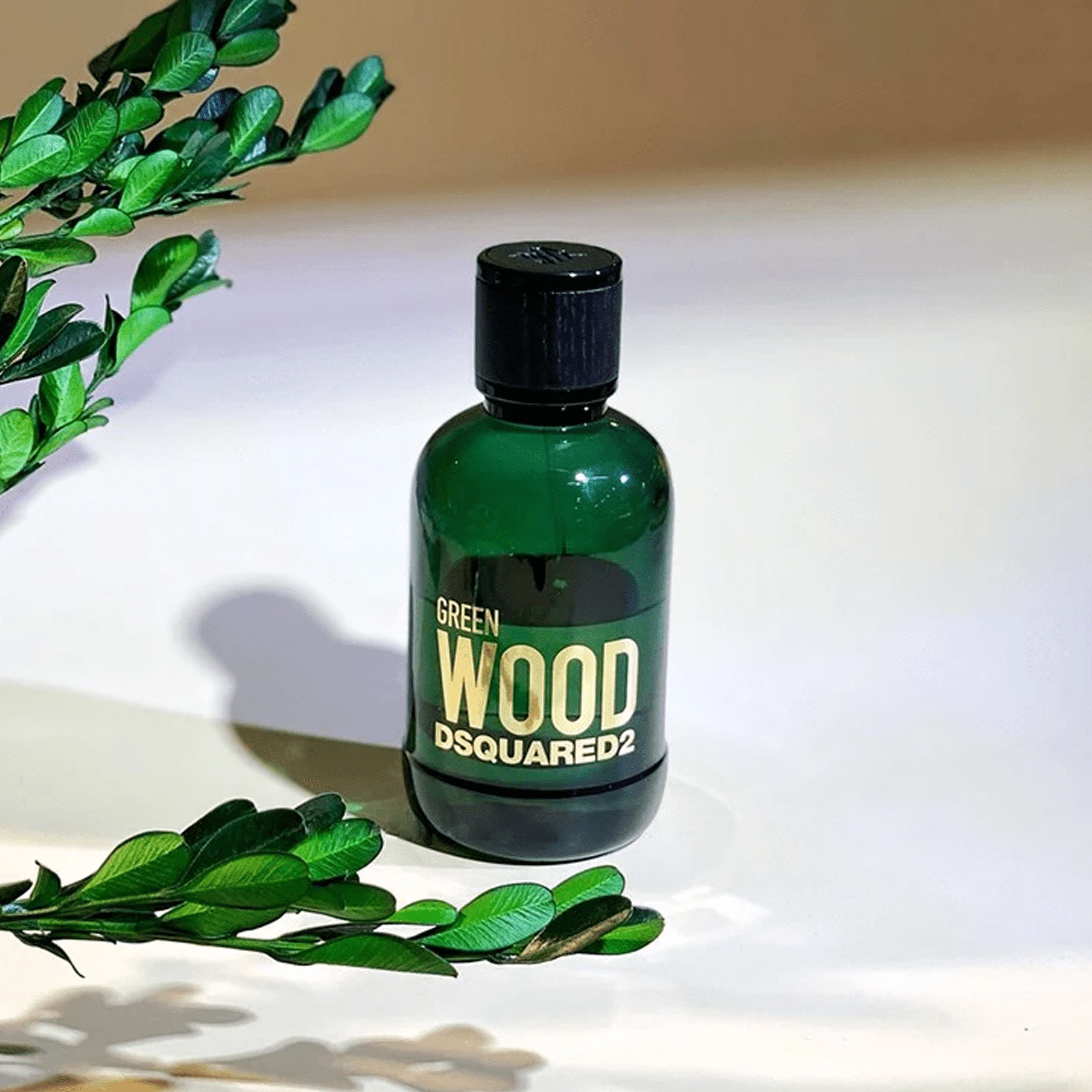 Dsquared2 Green Wood EDT | My Perfume Shop Australia