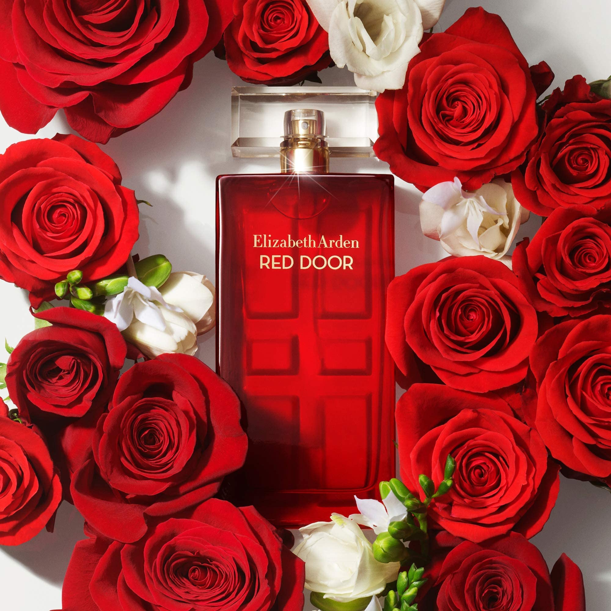 Elizabeth Arden Red Door EDT | My Perfume Shop Australia