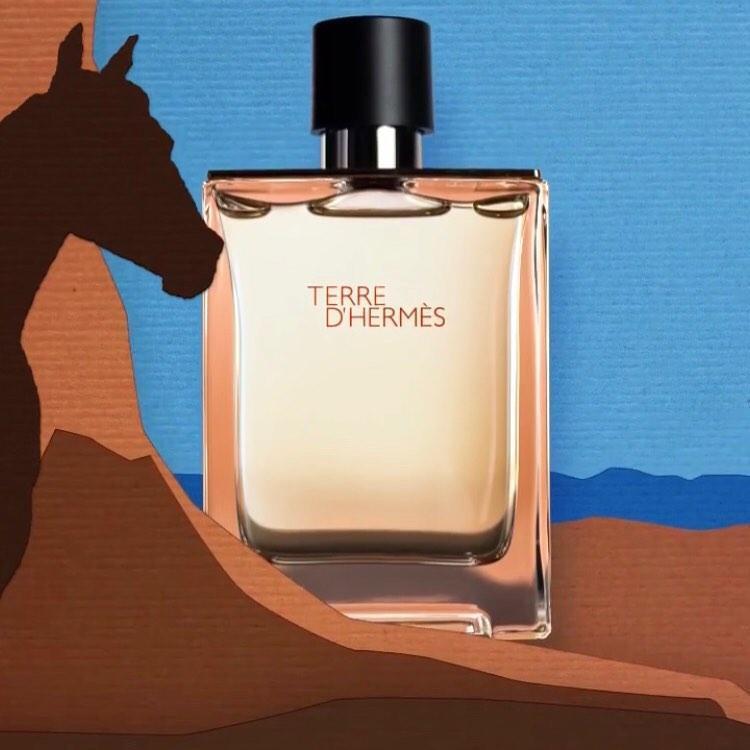 HERMÈS Terre d'Hermes Aftershave Lotion - My Perfume Shop Australia
