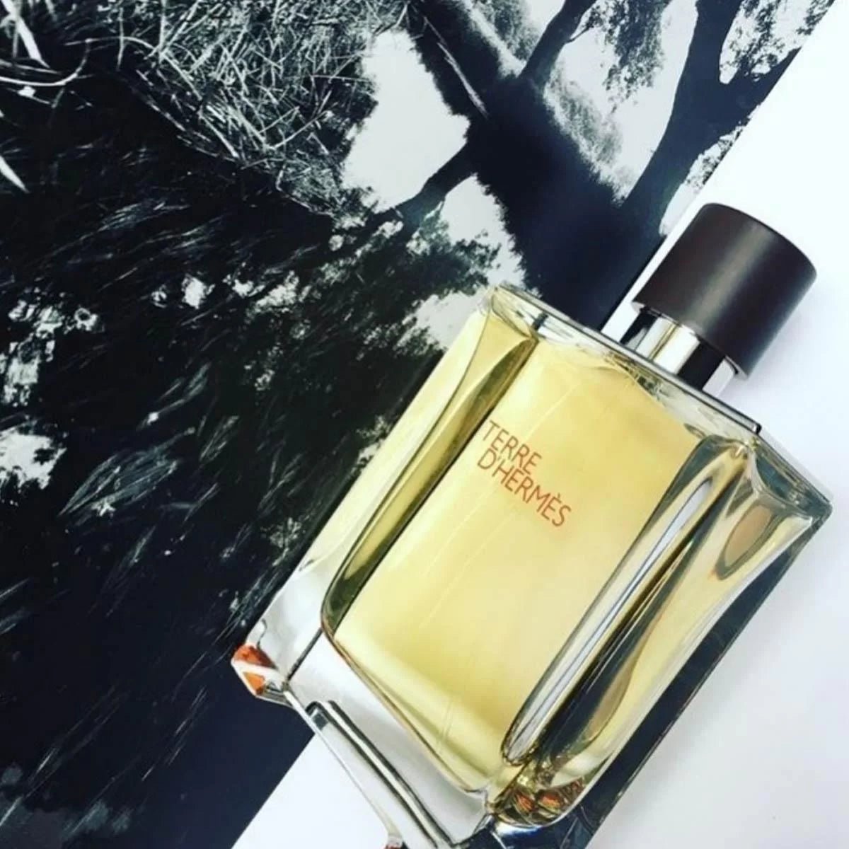 Hermes Terre D'Hermes Delux Replica EDT | My Perfume Shop Australia