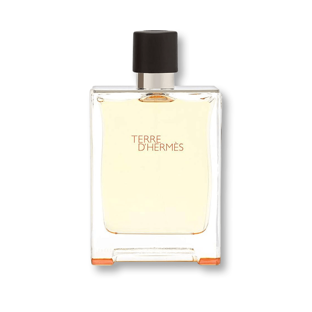 Hermes Terre D'Hermes Delux Replica EDT | My Perfume Shop Australia