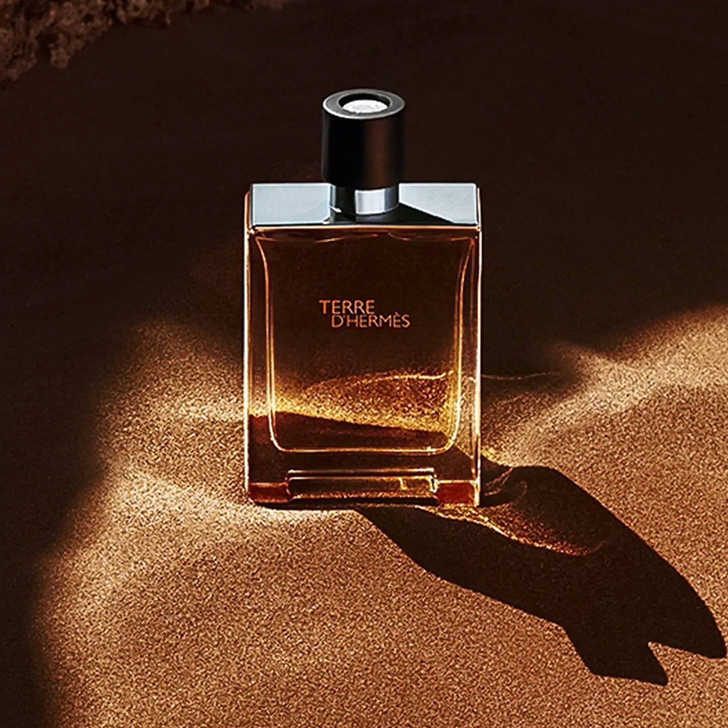 HERMÈS Terre d'Hermès Eau Intense Vétiver EDP - My Perfume Shop Australia