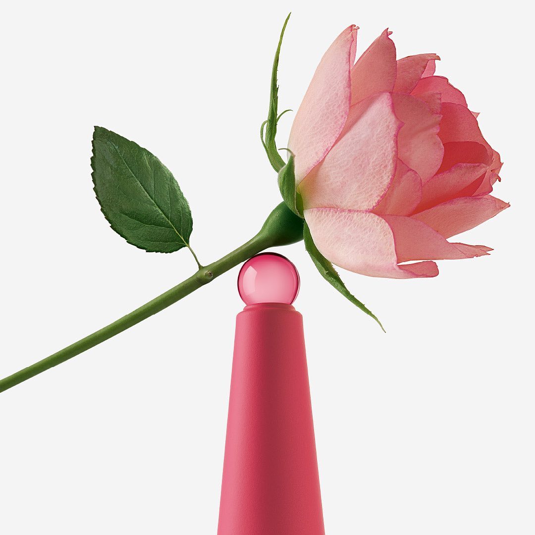 Issey Miyake Rose & Rose EDP Intense Body Lotion Set | My Perfume Shop Australia