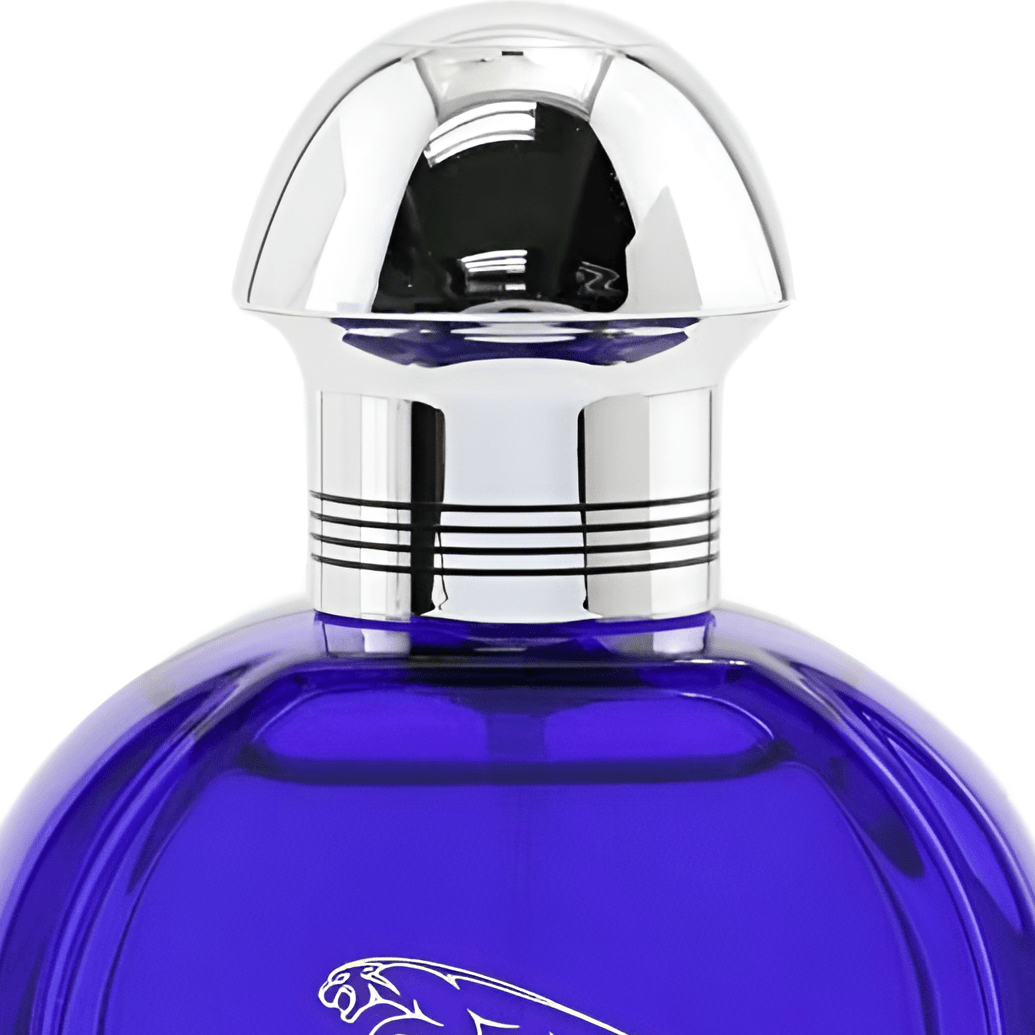 Jaguar Evolution EDT | My Perfume Shop Australia