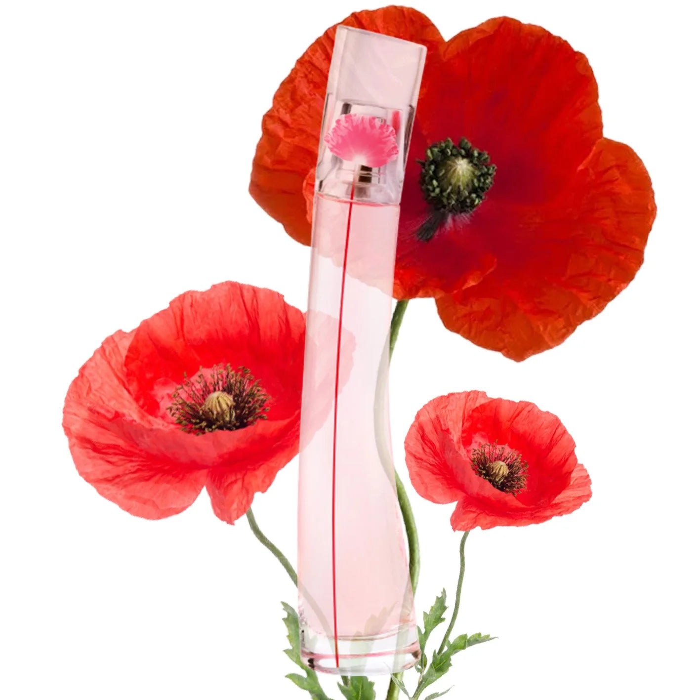 Kenzo Flower by Kenzo Poppy Bouquet EDP Florale Duo Set | My Perfume Shop Australia