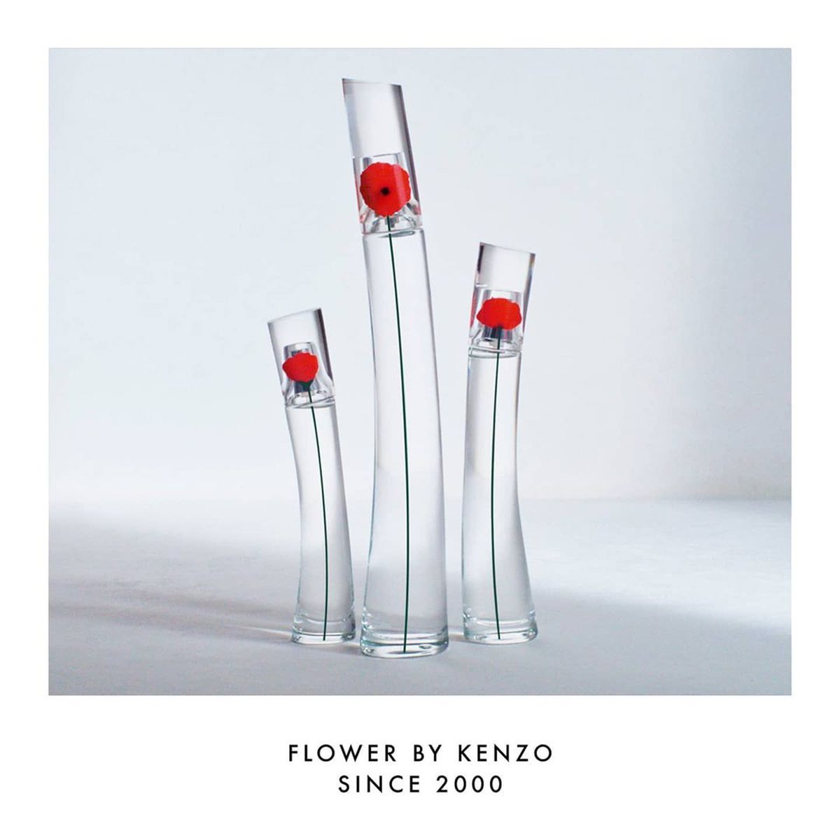 Kenzo Flower EDP - My Perfume Shop Australia