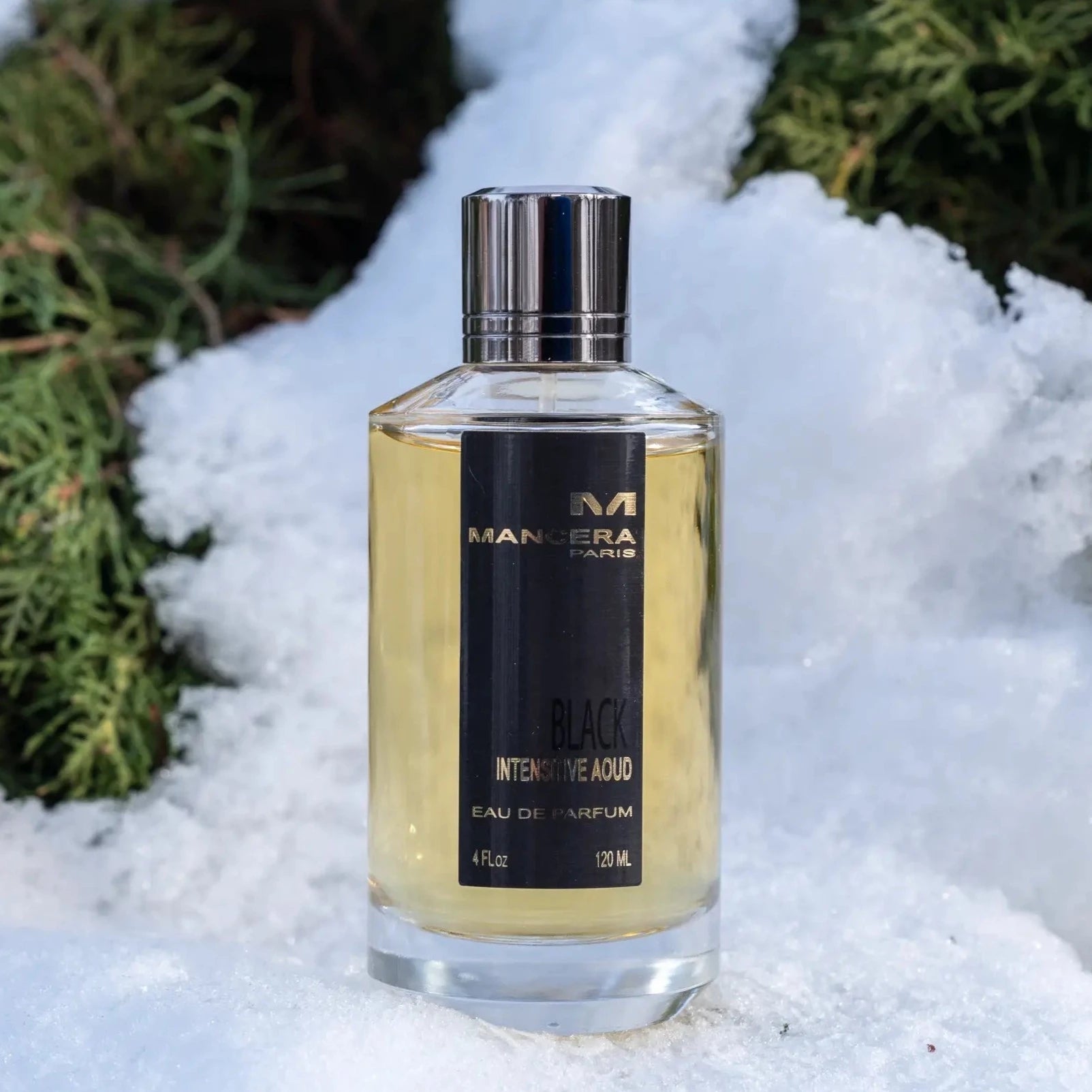 Mancera Black Intensitive Aoud EDP | My Perfume Shop Australia