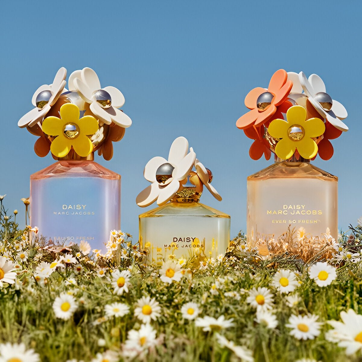 MARC JACOBS Daisy Delights Fragrance & Body Care Set | My Perfume Shop Australia