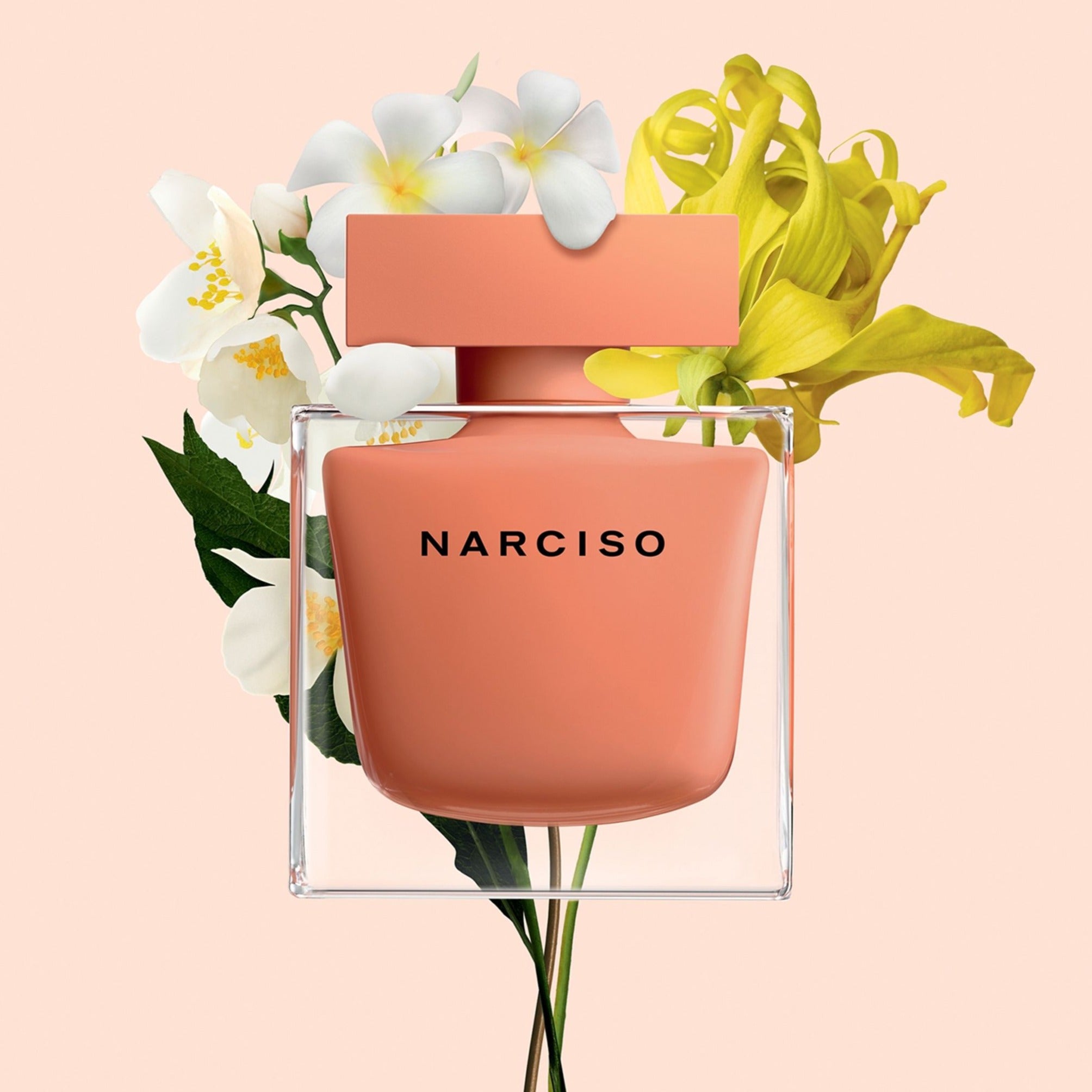 Narciso Rodriguez Narciso Ambree EDP | My Perfume Shop Australia