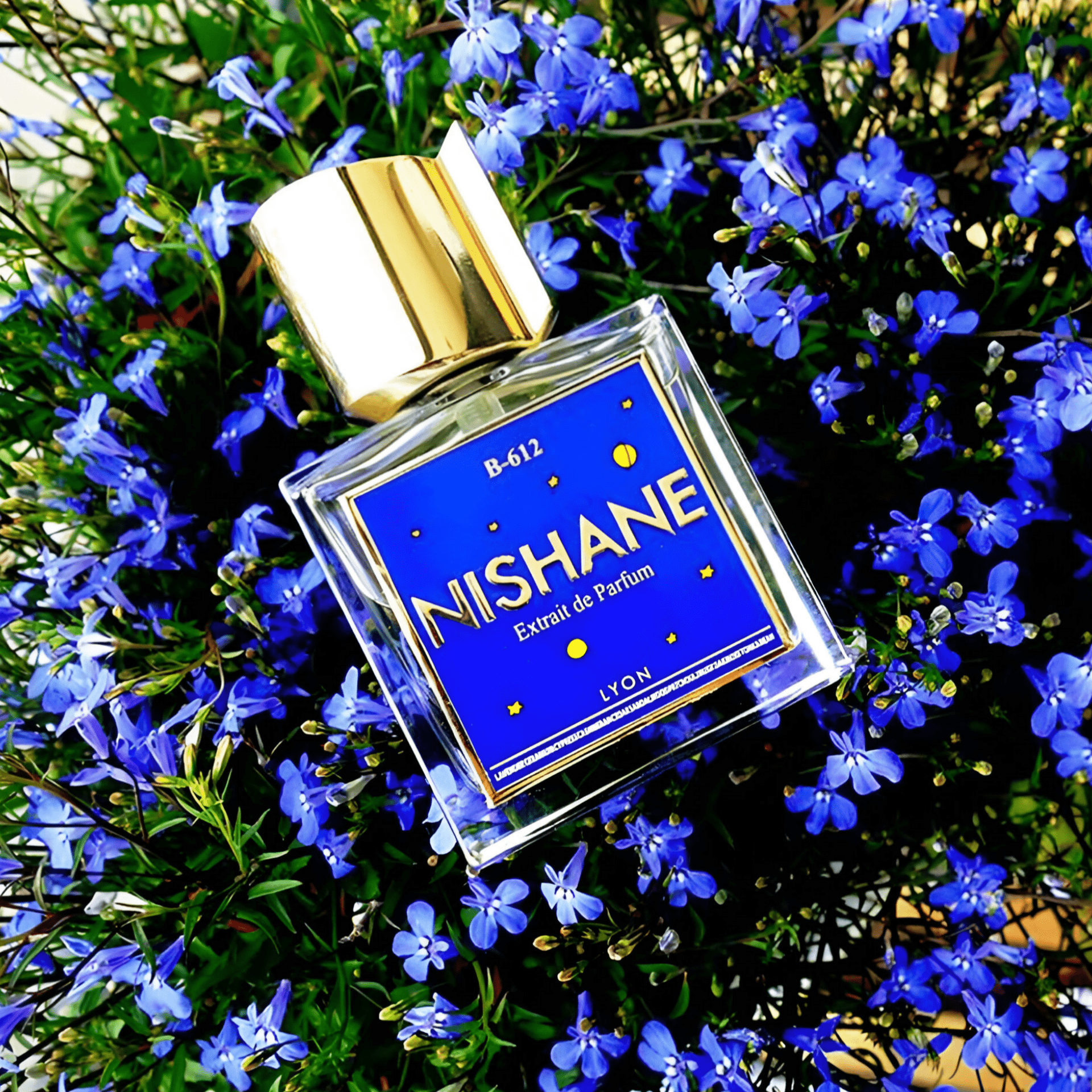 Nishane B-612 Extrait De Parfum | My Perfume Shop Australia