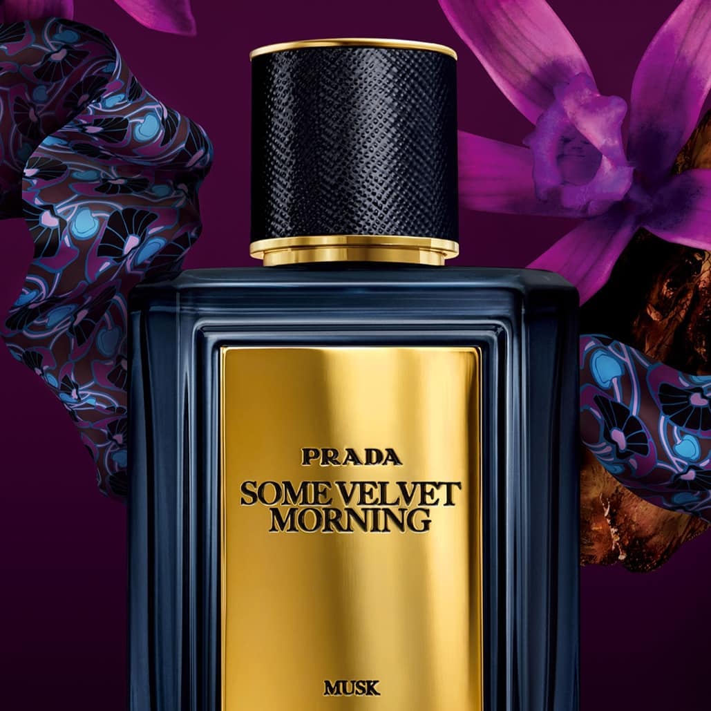 Prada Some Velvet Morning Musk EDP | My Perfume Shop Australia