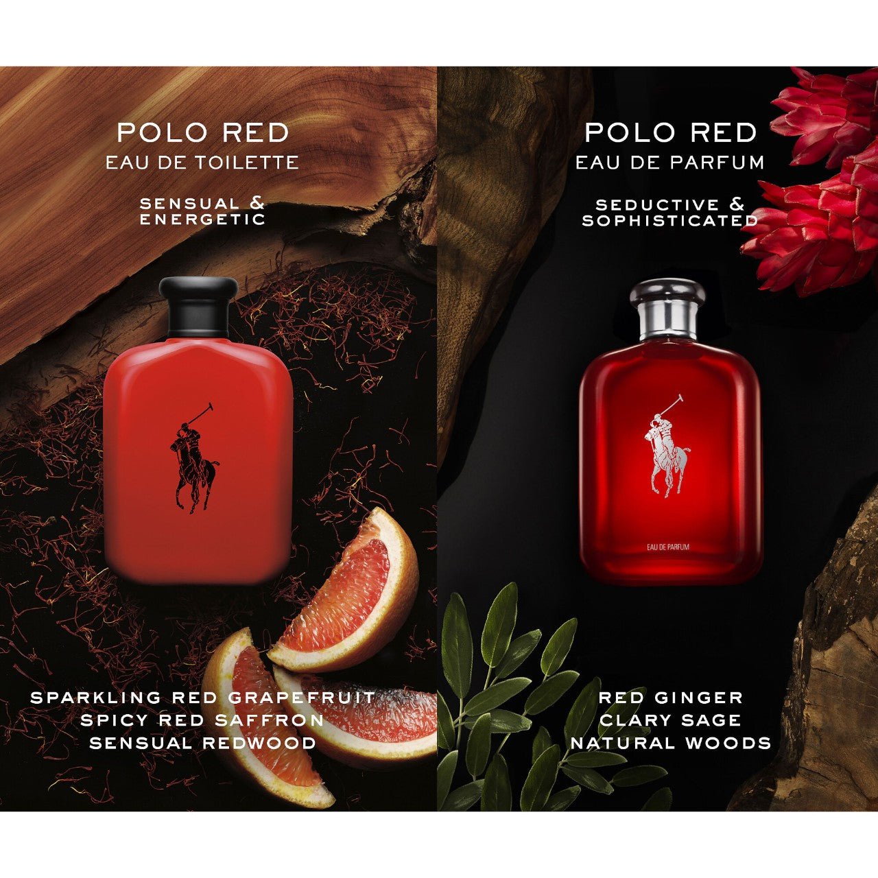 Ralph Lauren Polo Red For Men Parfum | My Perfume Shop Australia