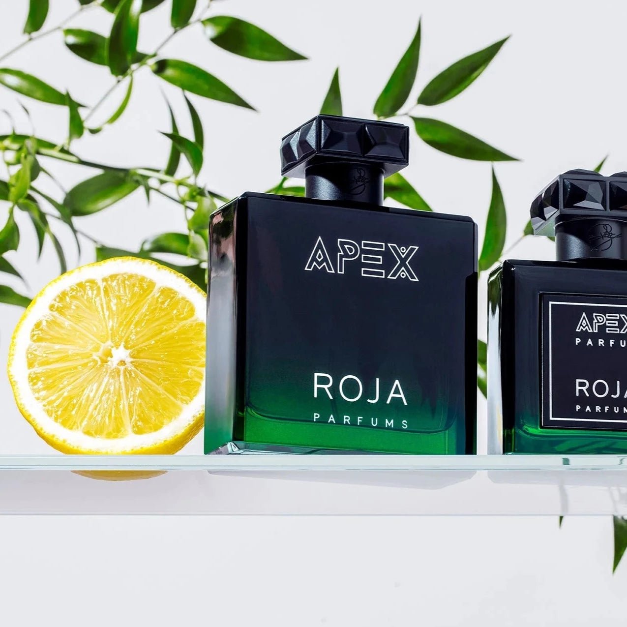 Roja Parfums Apex EDP | My Perfume Shop Australia