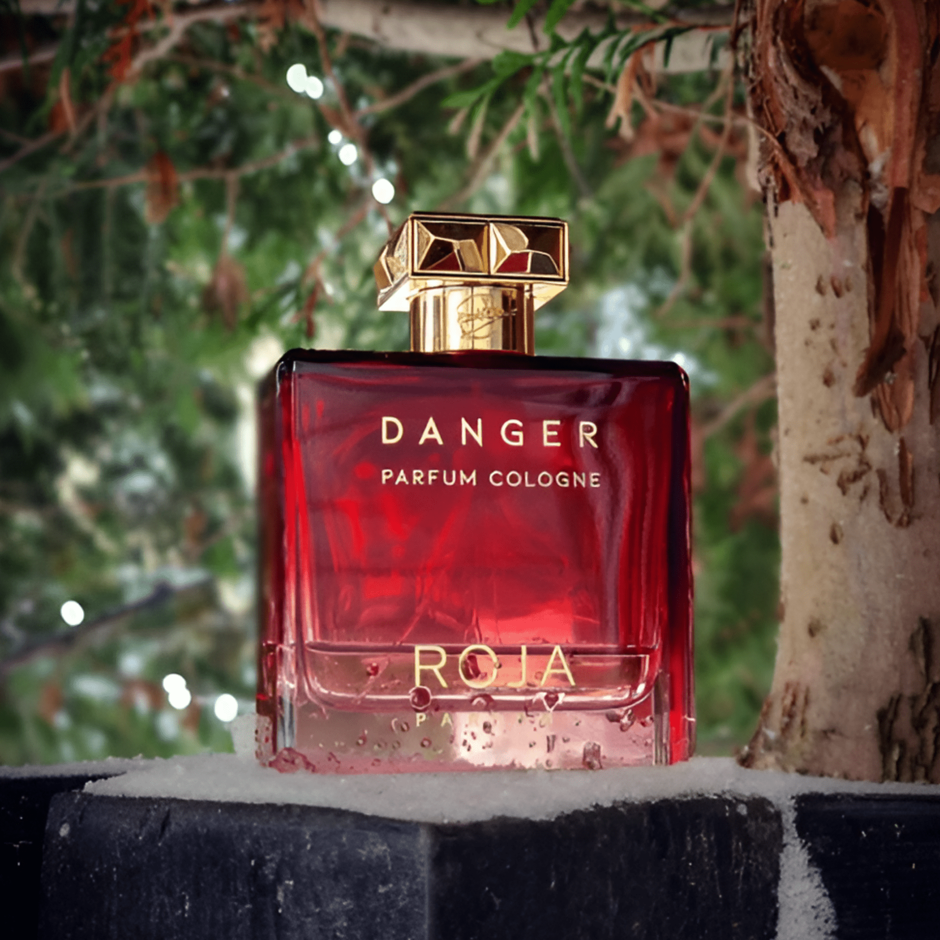 Roja Parfums Danger Pour Homme Parfum | My Perfume Shop Australia