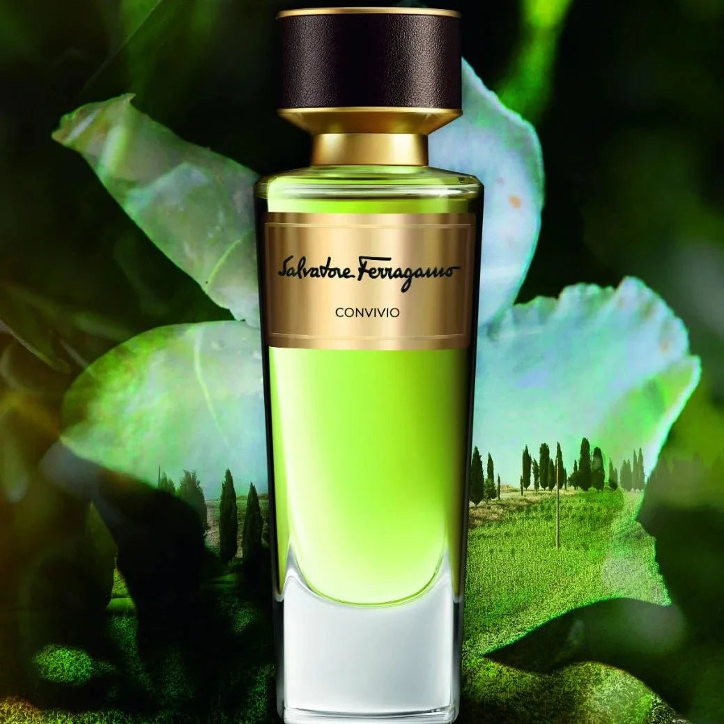 Salvatore Ferragamo Convivio EDP | My Perfume Shop Australia