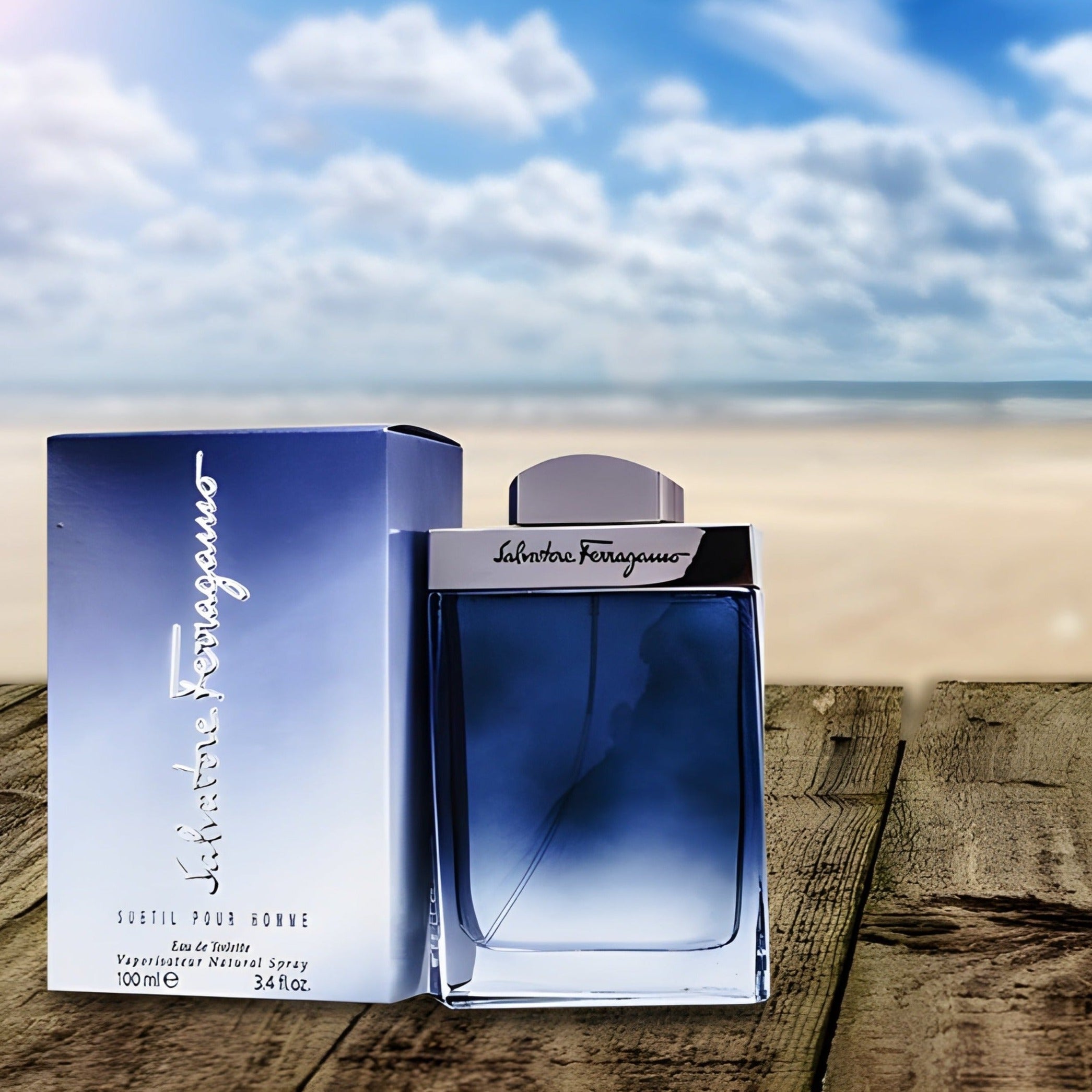 Salvatore Ferragamo Subtil Pour Homme EDT | My Perfume Shop Australia