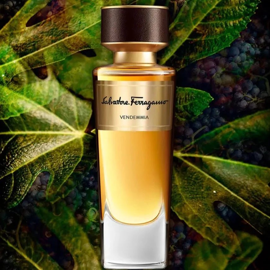 Salvatore Ferragamo Vendemmia EDP | My Perfume Shop Australia