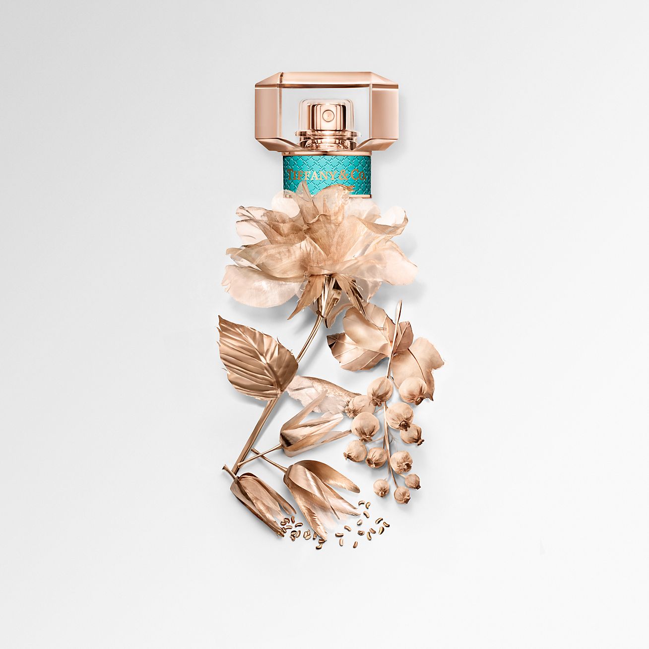 Tiffany & Co Rose Gold EDP | My Perfume Shop Australia