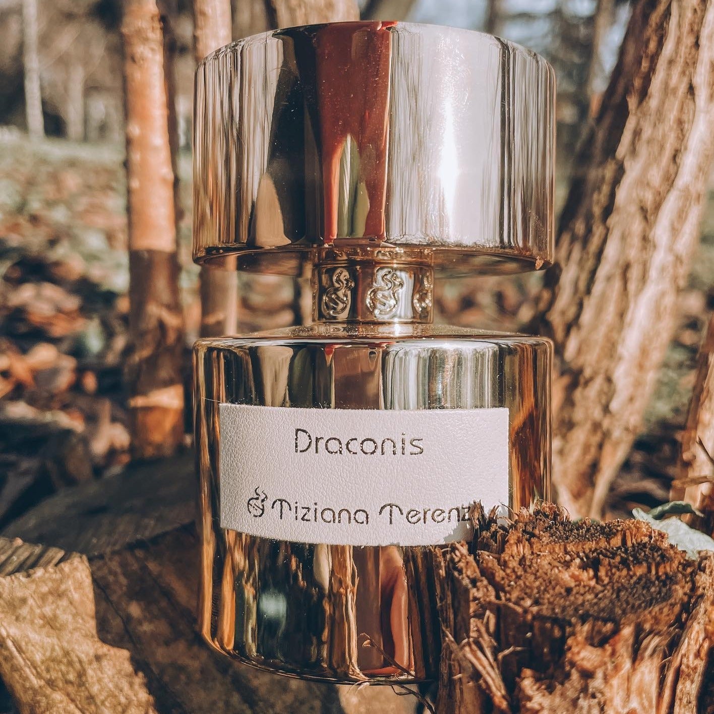 Tiziana Terenzi Luna Star Collection Draconis Extrait De Parfum | My Perfume Shop Australia